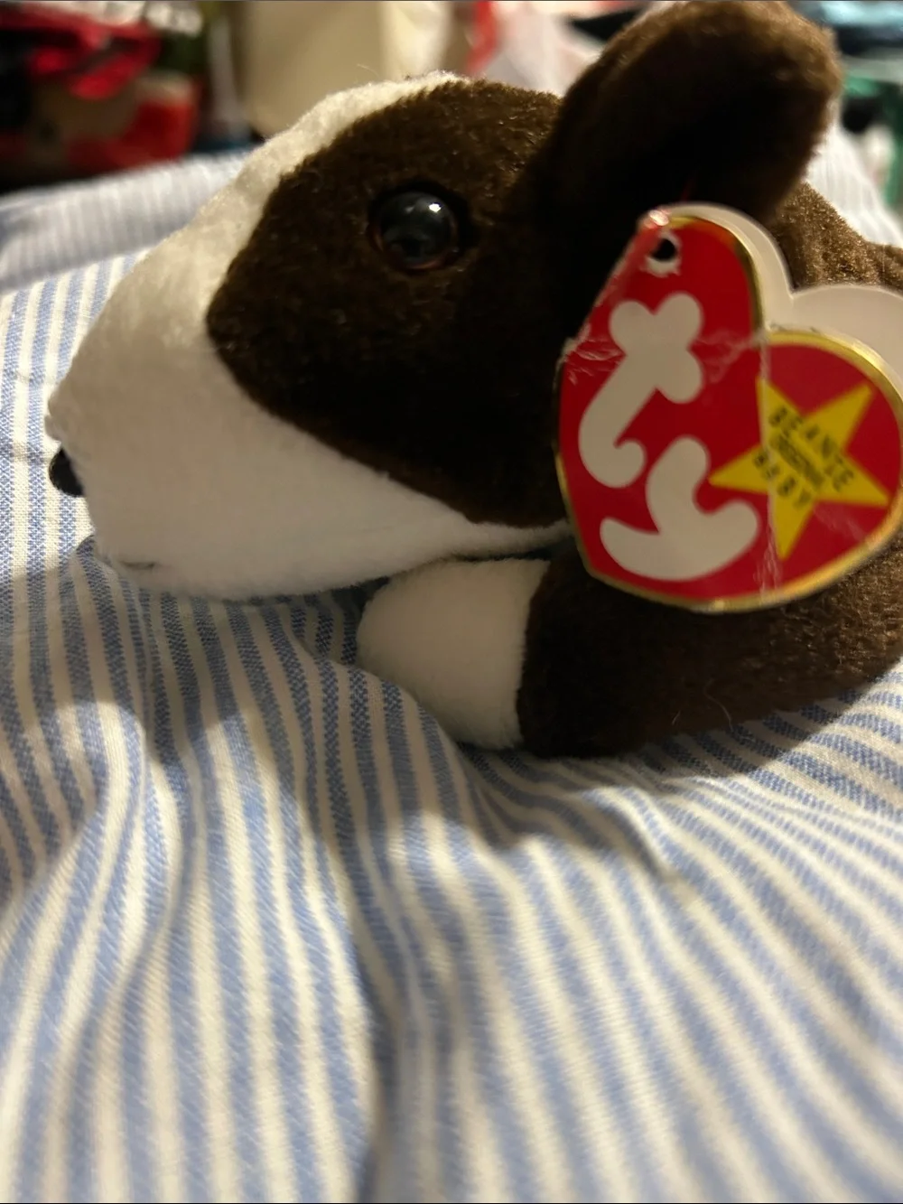 Ty Plush Guinea Pig in Brown and White with Heart Tag